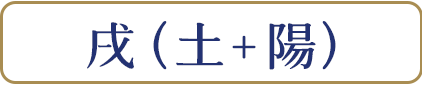戊(土+陽)