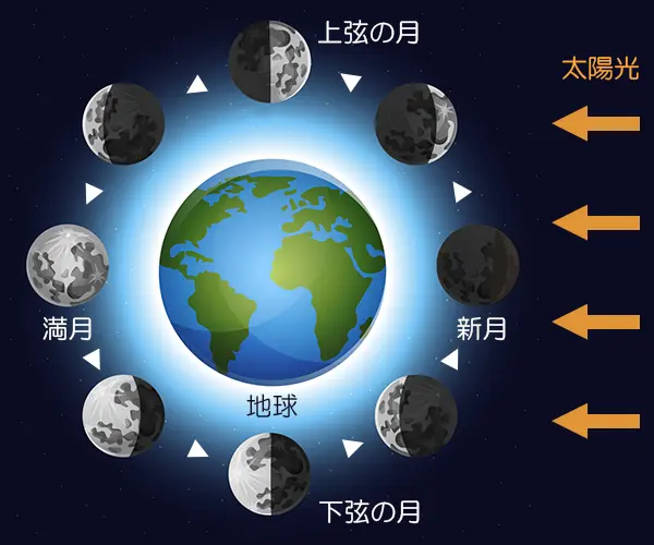 新月解説図