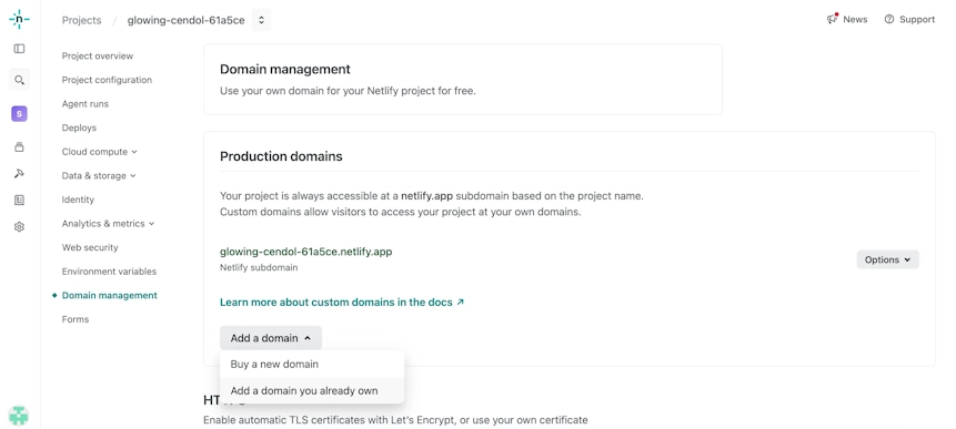 Domain management画面。Production domainsのAdd a domainからBuy a new domainとAdd a domain you already ownを選べる