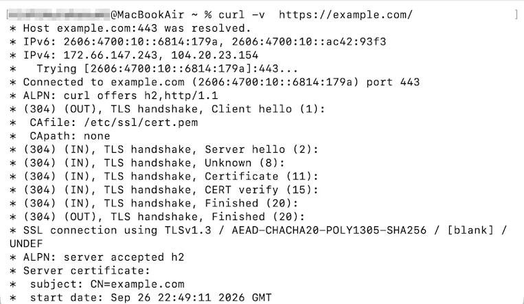 -vオプションを付けてexample.comに接続し、名前解決やTLSハンドシェイク、サーバー証明書の情報が表示された画面