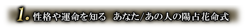 1.性格や運命を知る あなた/あの人の陽占花命式