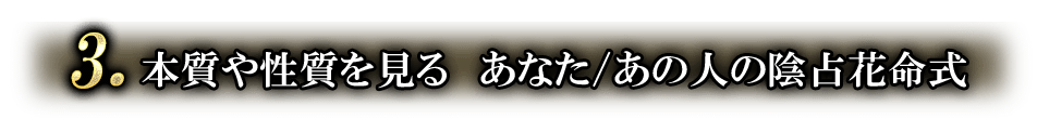 3.本質や性質を見る あなた/あの人の陰占花命式