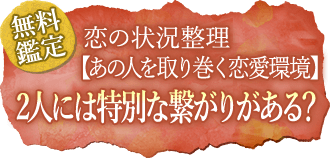 無料鑑定恋の状況整理【あの人を取り巻く恋愛環境】2人には特別な繋がりがある?