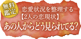 無料鑑定恋愛状況を整理する【2人の恋現状】あの人からどう見られてる？
