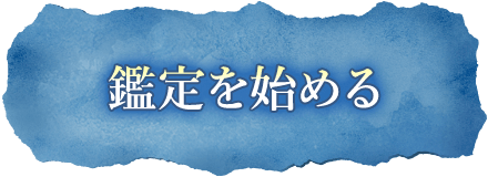 鑑定を始める