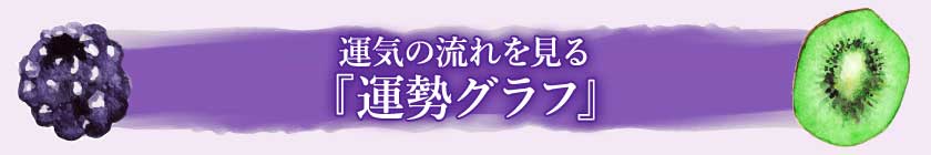 運気の流れを見る『運勢グラフ』