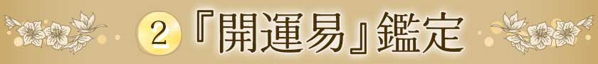 ②『開運易』鑑定