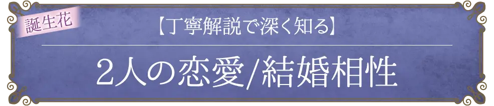 freeメニュー遷移ボタン2(その他)