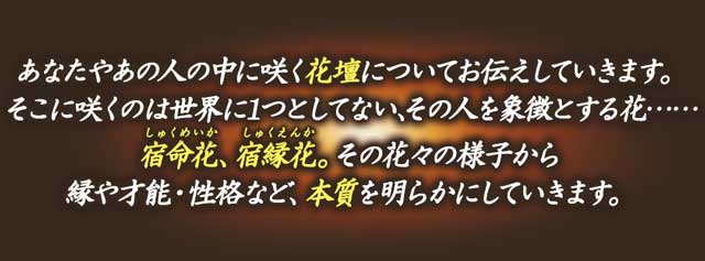 あなたやあの人の中に咲く花壇についてお伝えしていきます。そこに咲くのは世界に1つとしてない、その人を象徴とする花……宿命花、宿縁花。その花々の様子から縁や才能・性格など、本質を明らかにしていきます。