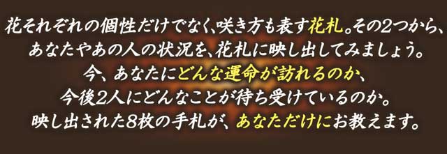 花それぞれの個性だけでなく、咲き方も表す花札。その2つから、あなたやあの人の状況を、花札に映し出してみましょう。今、あなたにどんな運命が訪れるのか、今後2人にどんなことが待ち受けているのか。映し出された8枚の手札が、あなただけにお教えます。