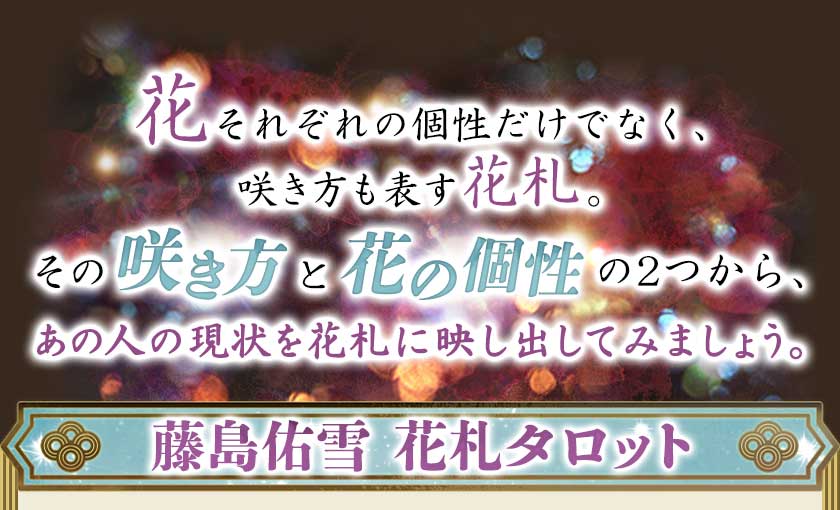 花それぞれの個性だけでなく、咲き方も表す花札。その咲き方と花の個性の2つから、あの人の現状を花札に映し出してみましょう。藤島佑雪 花札タロット