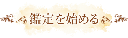 鑑定を始める