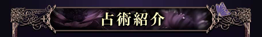 占術紹介