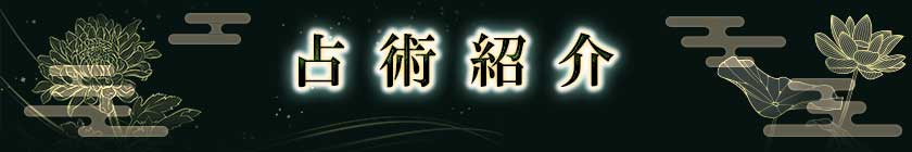 占術紹介