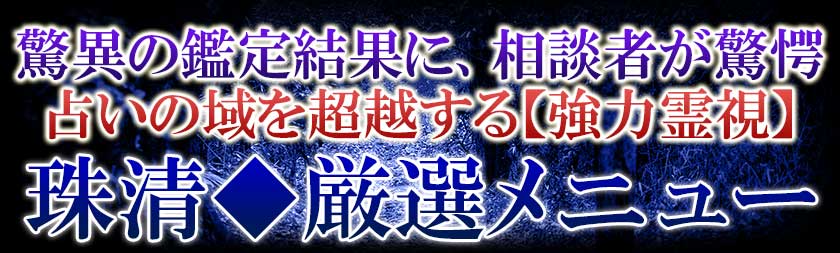 驚異の鑑定結果に、相談者が驚愕 占いの域を超越する【強力霊視】珠清◆厳選メニュー