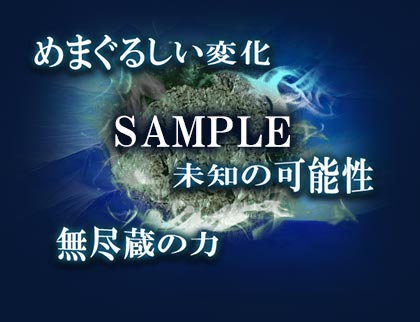 SAMPLE