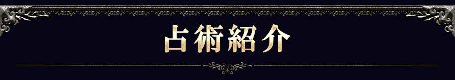 占術紹介