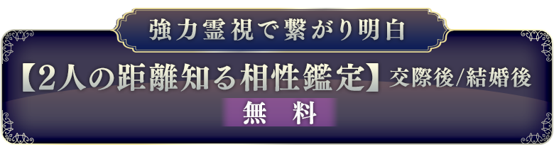 強力霊視で繋がり明白【2人の距離知る相性鑑定】交際後/結婚後