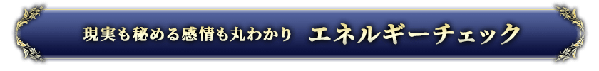 現実も秘める感情も丸わかりエネルギーチェック