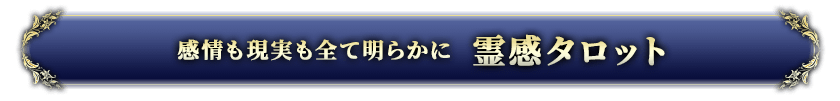 感情も現実も全て明らかに霊感タロット