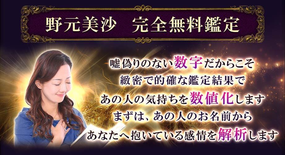 野元美沙　完全無料鑑定嘘偽りのない数字だからこそ緻密で的確な鑑定結果であの人の気持ちを数値化しますまずは、あの人のお名前からあなたへ抱いている感情を解析します