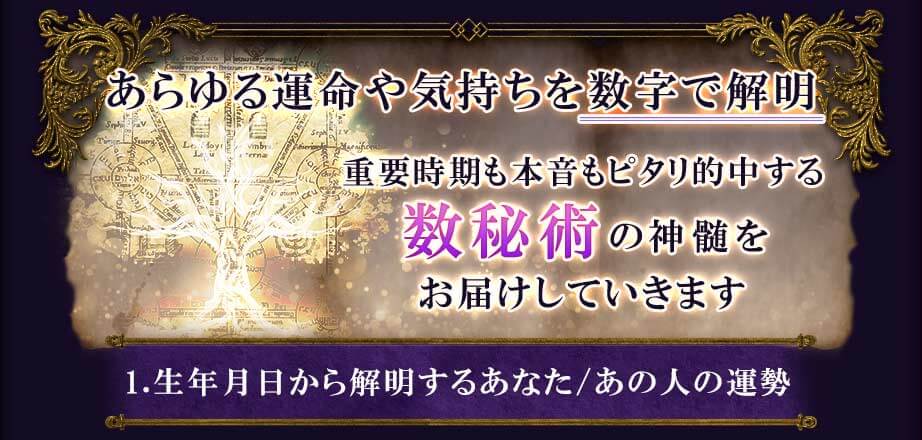 あらゆる運命や気持ちを数字で解明重要時期も本音もピタリ的中する数秘術の真髄をお届けします1.生年月日から解明するあなた/あの人の運勢