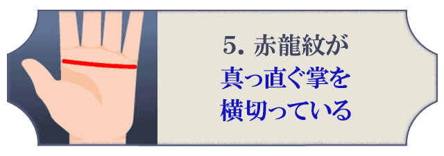 5.赤龍紋が真っ直ぐ掌を横切っている