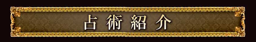 占術紹介