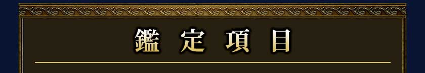鑑定項目