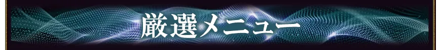 厳選おすすめメニュー