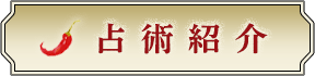 占術紹介