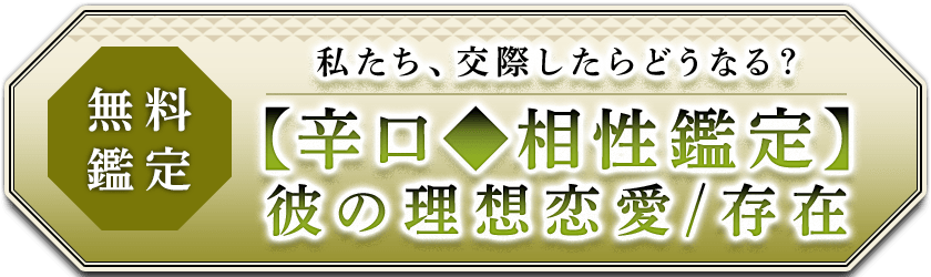 無料鑑定私たち、交際したらどうなる？【辛口◆相性鑑定】彼の理想恋愛/存在