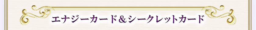 3.エナジーカードとシークレットカード