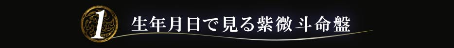 1 生年月日で見る紫微斗命盤