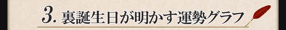3.裏誕生日が明かす運勢グラフ