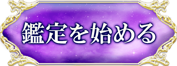 鑑定を始める