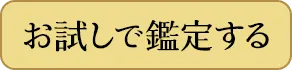 お試しで鑑定する