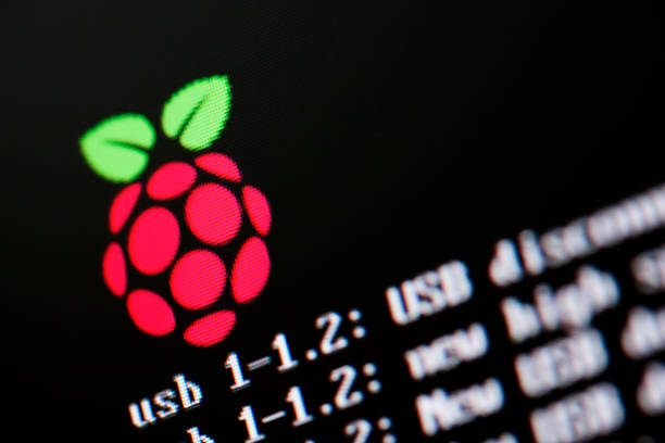 Raspberry Pi（ラズパイ）とは？IoT開発ができるマイクロコンピュータを解説