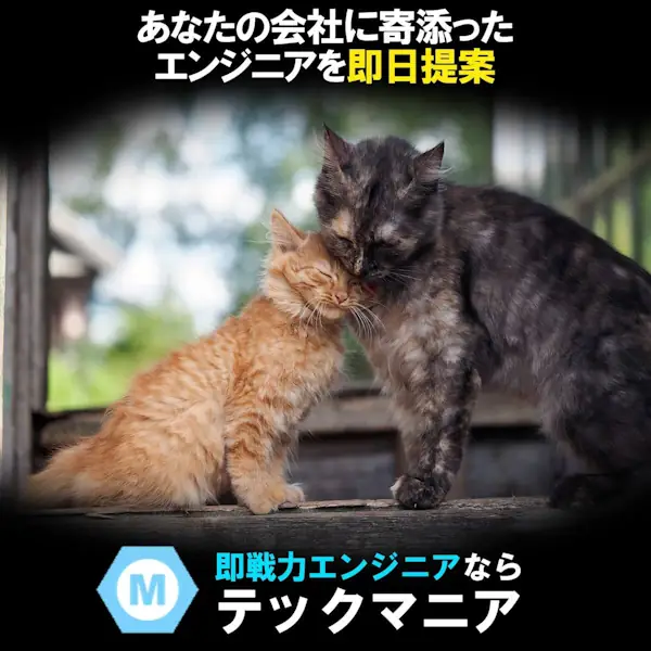 ITエンジニアの人材獲得もテックマニア