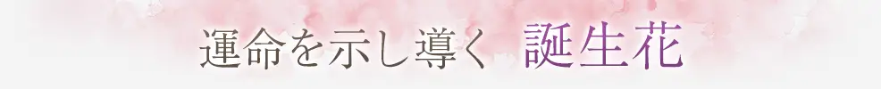 占術紹介タイトル1