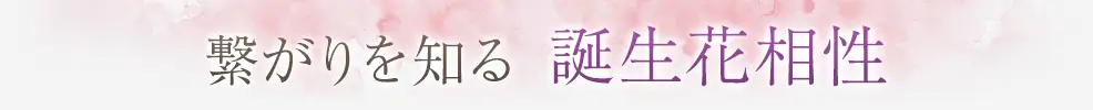 占術紹介タイトル2
