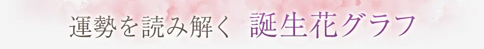 占術紹介タイトル3