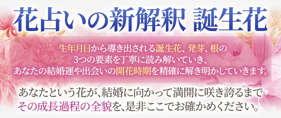 コンテンツタイトル下の看板画像