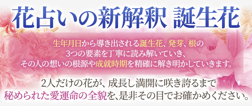 コンテンツタイトル下の看板画像