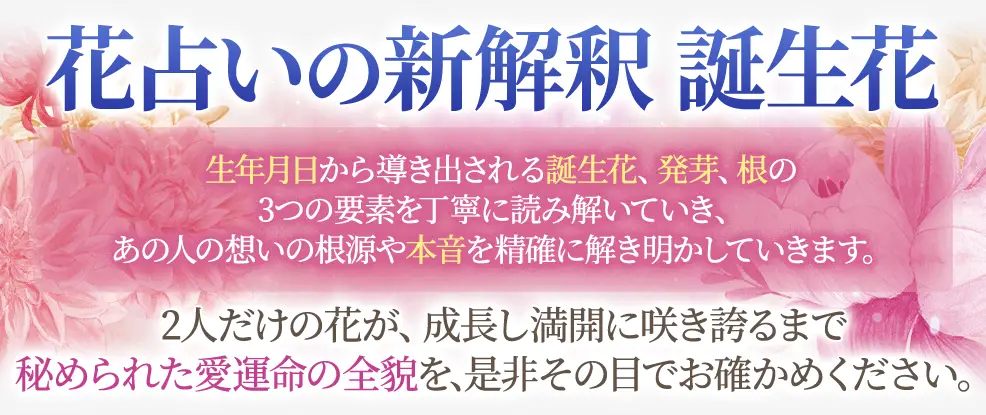 コンテンツタイトル下の看板画像