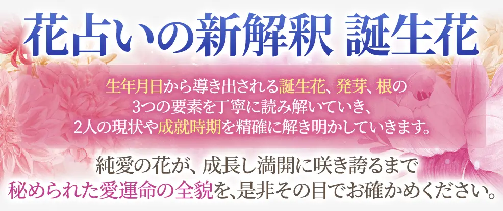 コンテンツタイトル下の看板画像