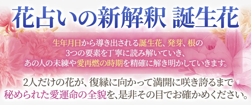 コンテンツタイトル下の看板画像