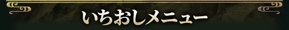 厳選おすすめメニュー