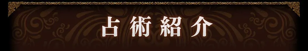 占術紹介