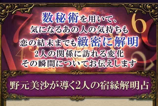 緻密で丁寧◇よく当たる【運命を解明する数値証明】野元美沙の数秘術 | cocoloni占い館 Moon